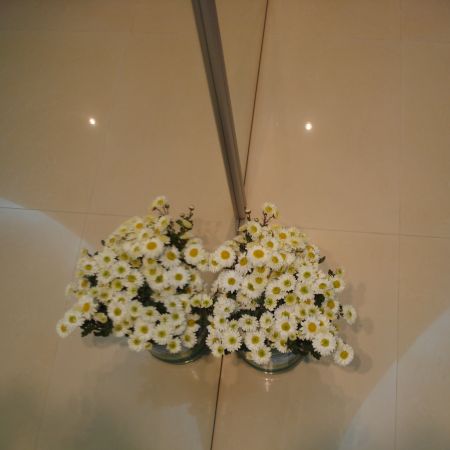 Floricele de toamna(mihaela)